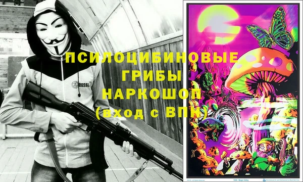 кокаин Белокуриха