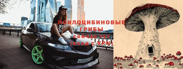 амф Белоозёрский