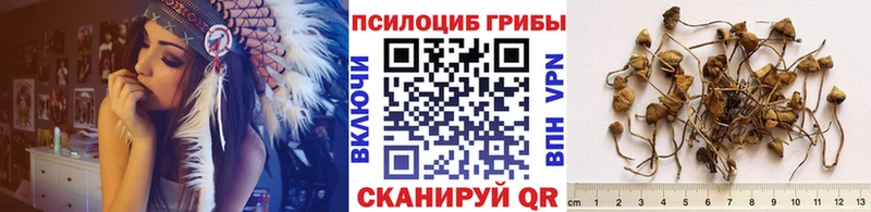 Галлюциногенные грибы MAGIC MUSHROOMS  Болохово 